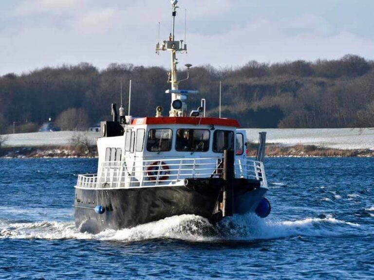 Rødsand på vej hen imod kameraet med vinterlandskab i baggrunden